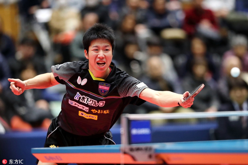 包含奥地利乒乓球队力克日本乒乓球队，水谷隼惊艳世界的词条