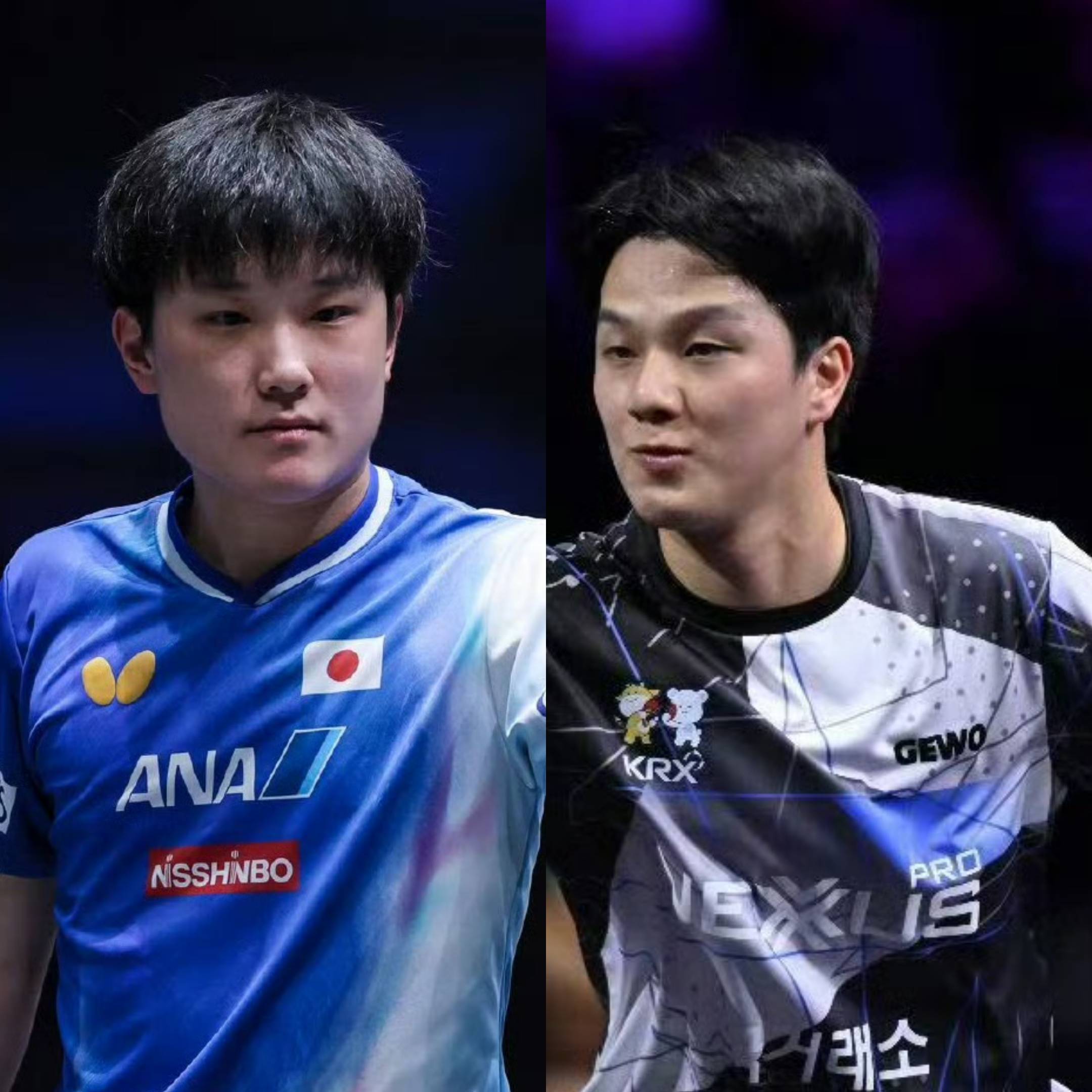 德国队轻取法国队，张本智和刷新纪录