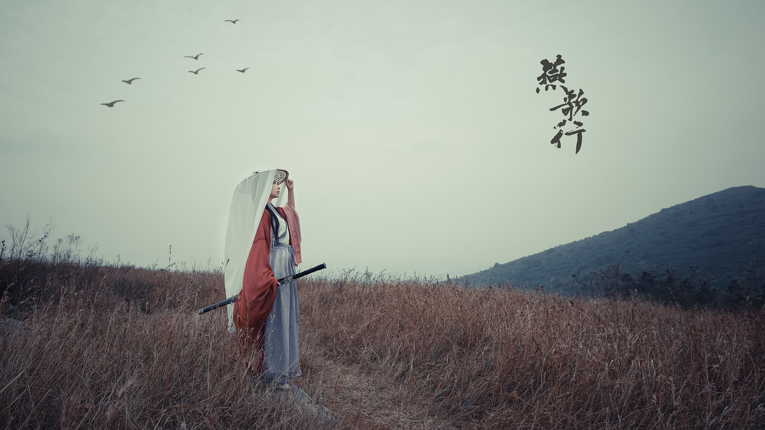 唯一之冠，澳网轻取法网的传奇对决，穆雷关键制胜铸就历史