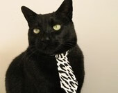 双重征服，当绿茵场的风暴遇见球台的惊世一拍