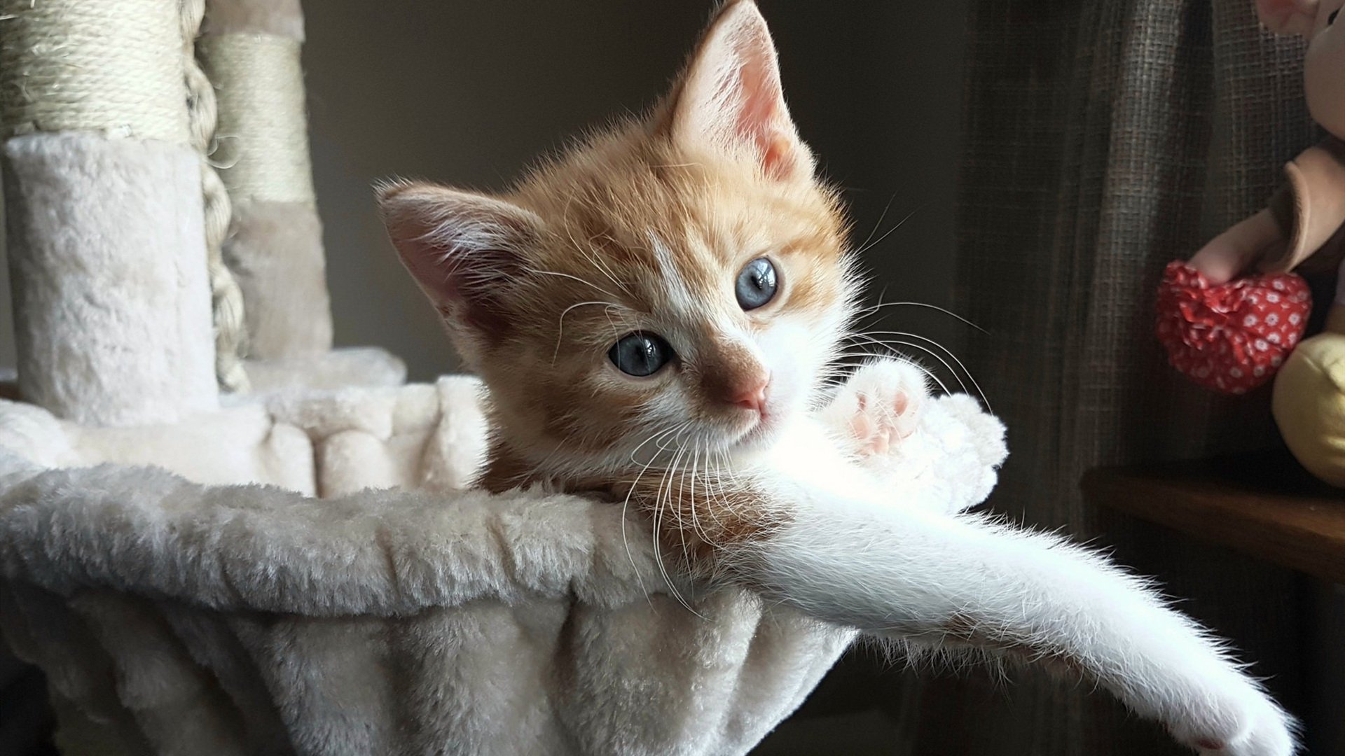 绝杀！德国战车碾过三狮军团 致敬马龙式领袖，他扛着全队跨越温布利荆棘