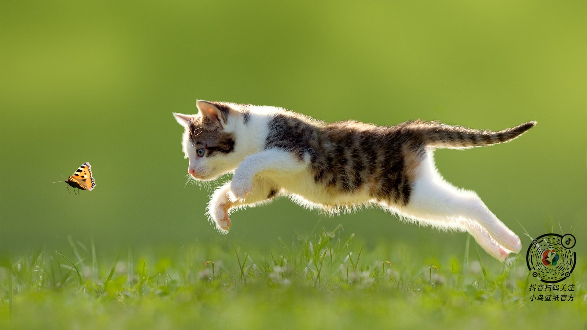 划破黑夜的流星,孔德终场绝响,尤文图斯的唯一救赎