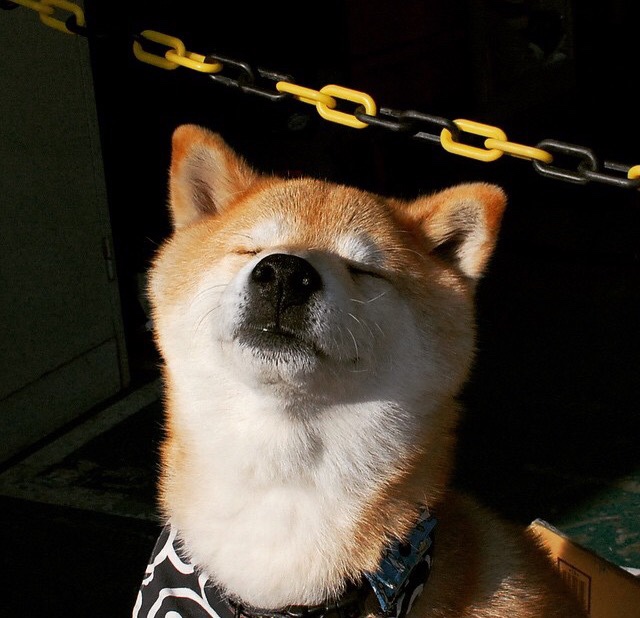 篡位者之夜，拉梅洛·鲍尔在世界排名争夺战中接管比赛，步行者防线如何悄然制霸快船核心？