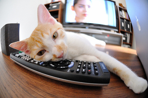 高压锅中的众神，当窒息感成为跨越体育项目的共同语言