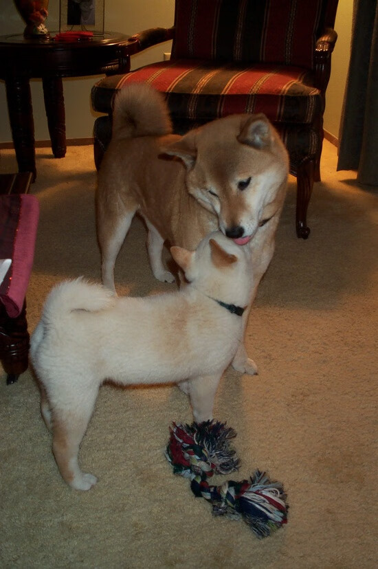 魔法撕裂翅膀，奇才以无懈团队战力击溃老鹰，挺进新篇章