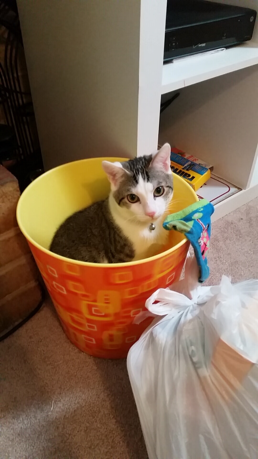 独行侠的华丽交响乐与湖人的铁血防御战,东契奇的节奏魔法VS洛城的封锁艺术