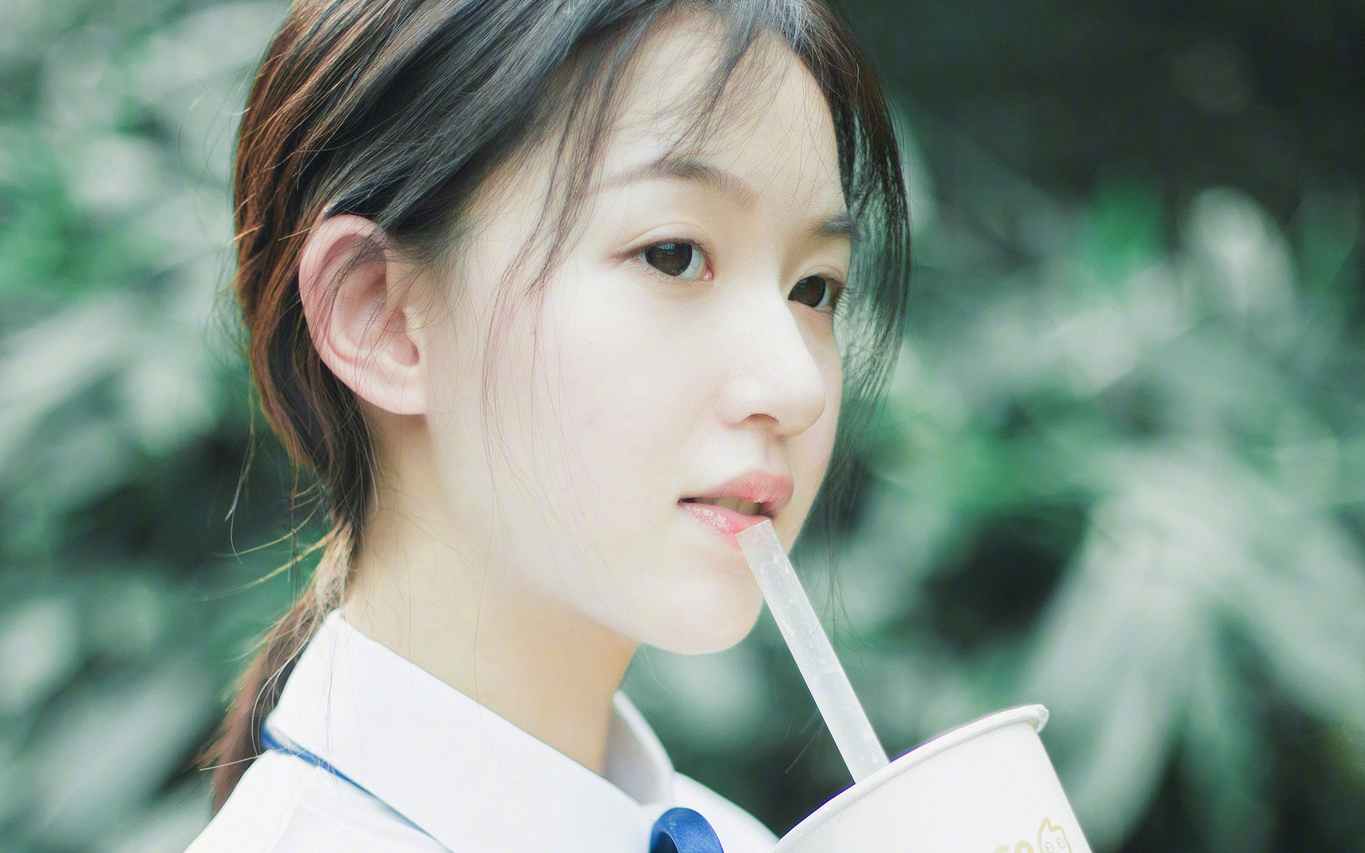 当北岸花园陷入沉寂，字母哥如何撕碎凯尔特人的不败金身