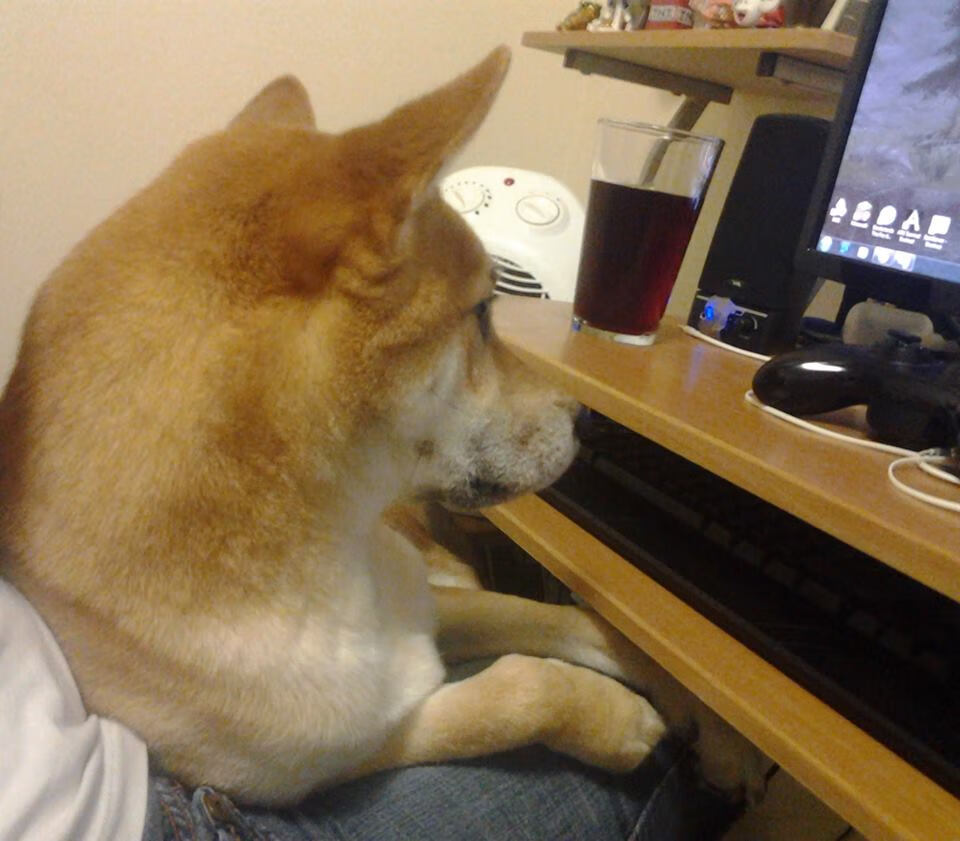 破茧成蝶，卢卡库在拜仁巴萨的宿命舞台上演生涯之夜