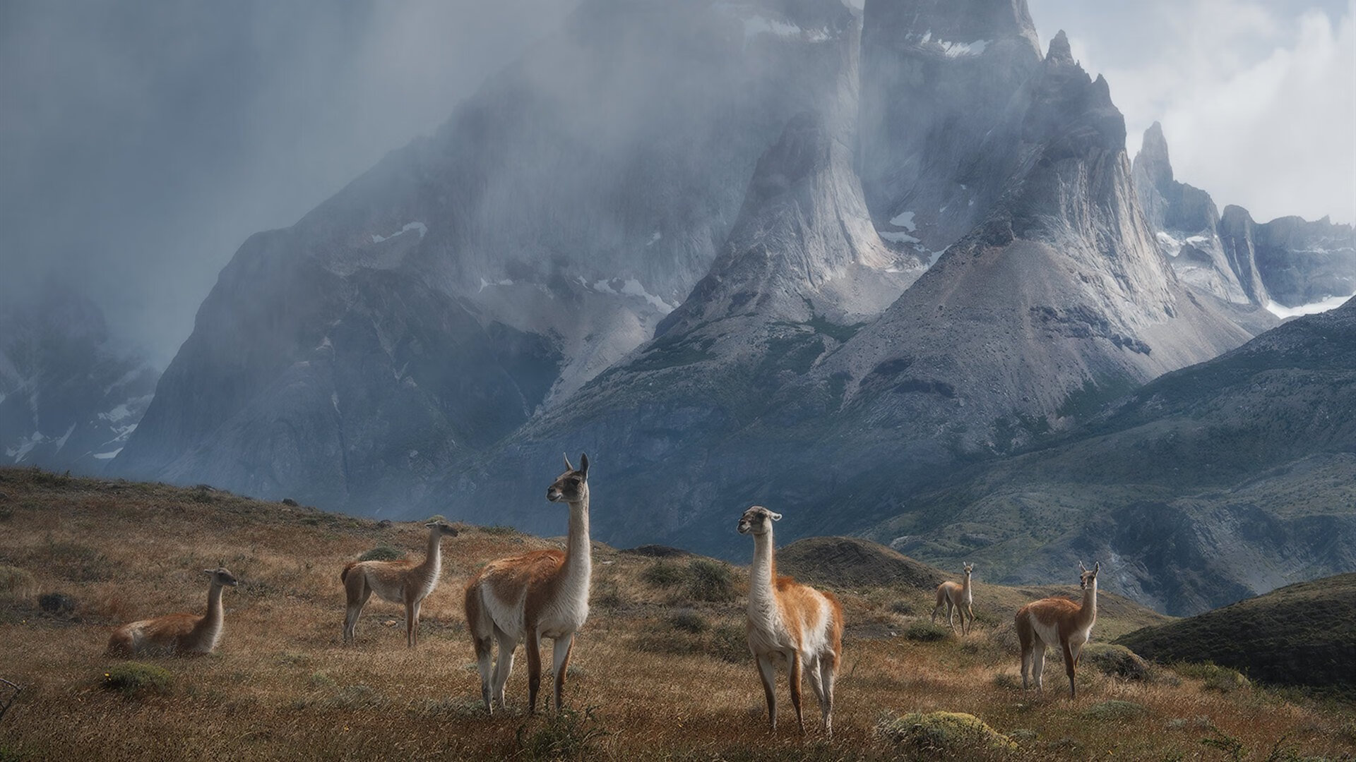 喧嚣迷宫,静的极点