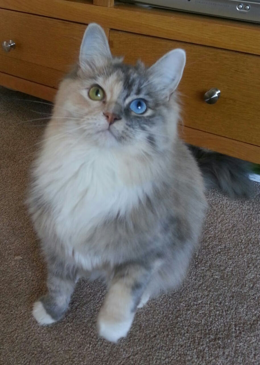 绝杀时刻与接管比赛，NBA季后赛的英雄叙事