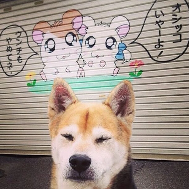 当团队机器碾过孤星，东契奇诠释现代篮球的终极答案