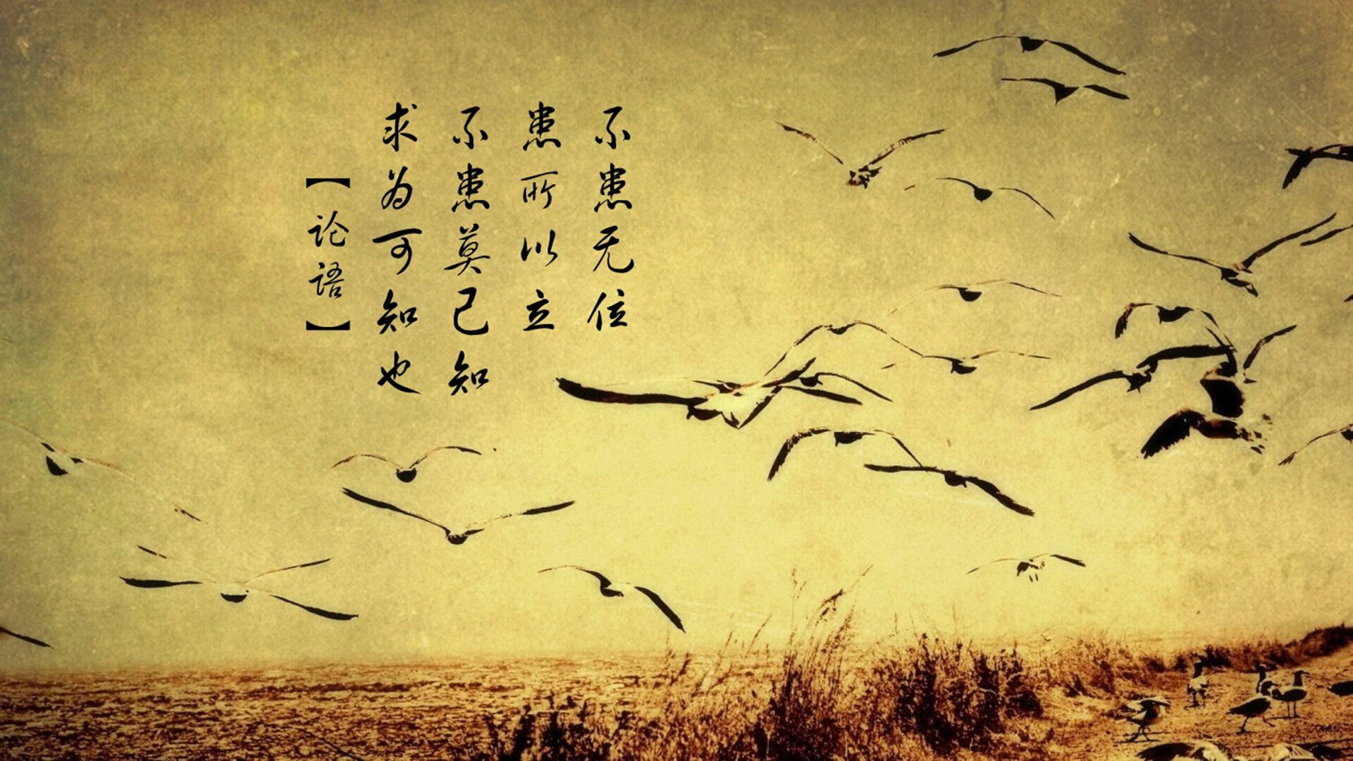 唯一性，那个载入史册的欧冠半决赛，C罗的王权之证