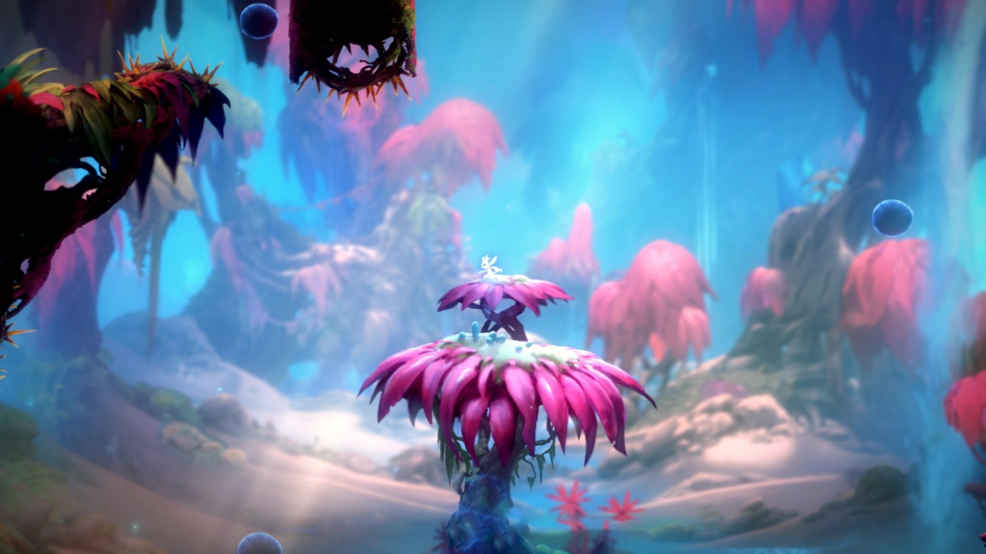 文班亚马一手掌控，深圳队客场力克山西队