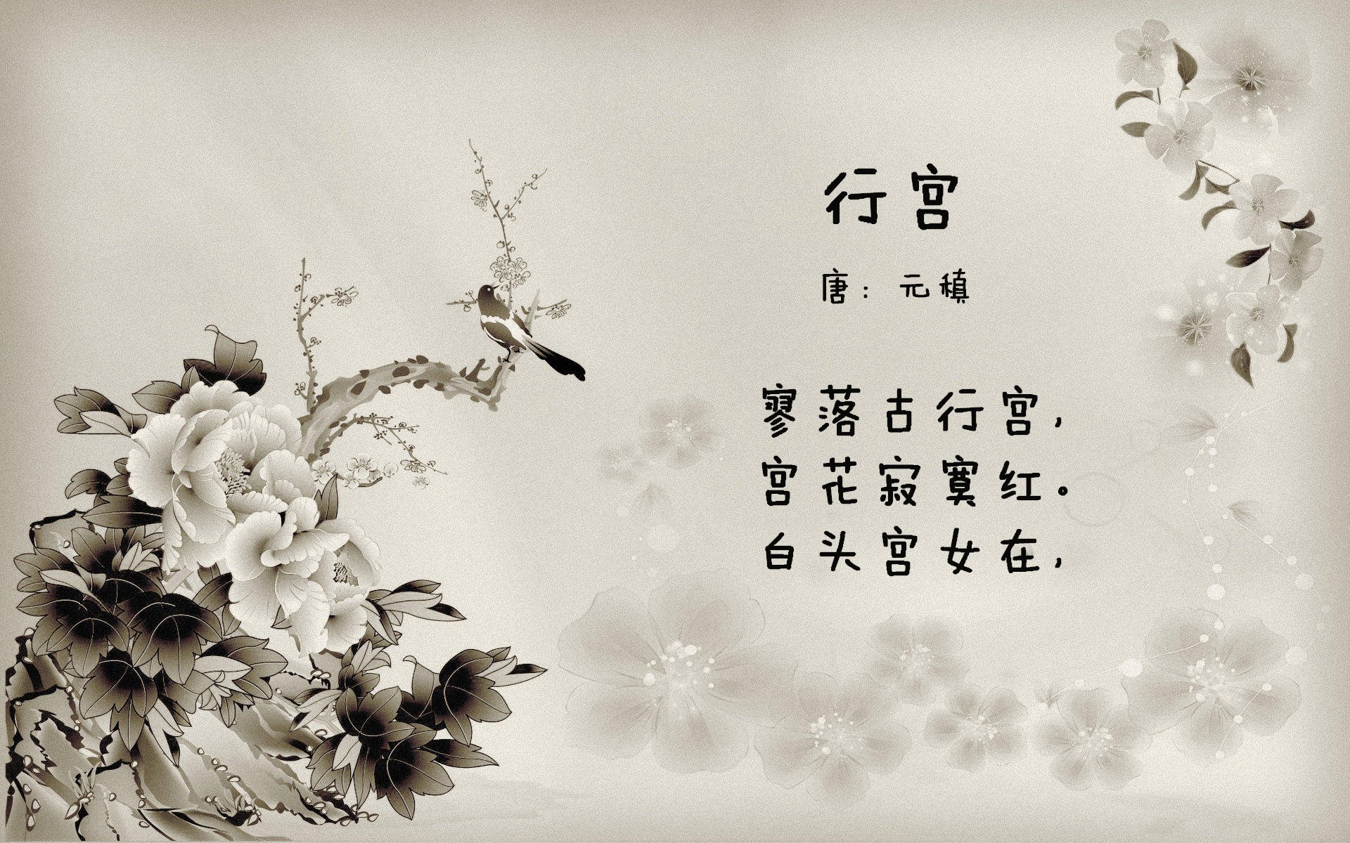 草根逆袭！几内亚掀翻体育霸主，马丁内利三记重拳打懵美国巨人