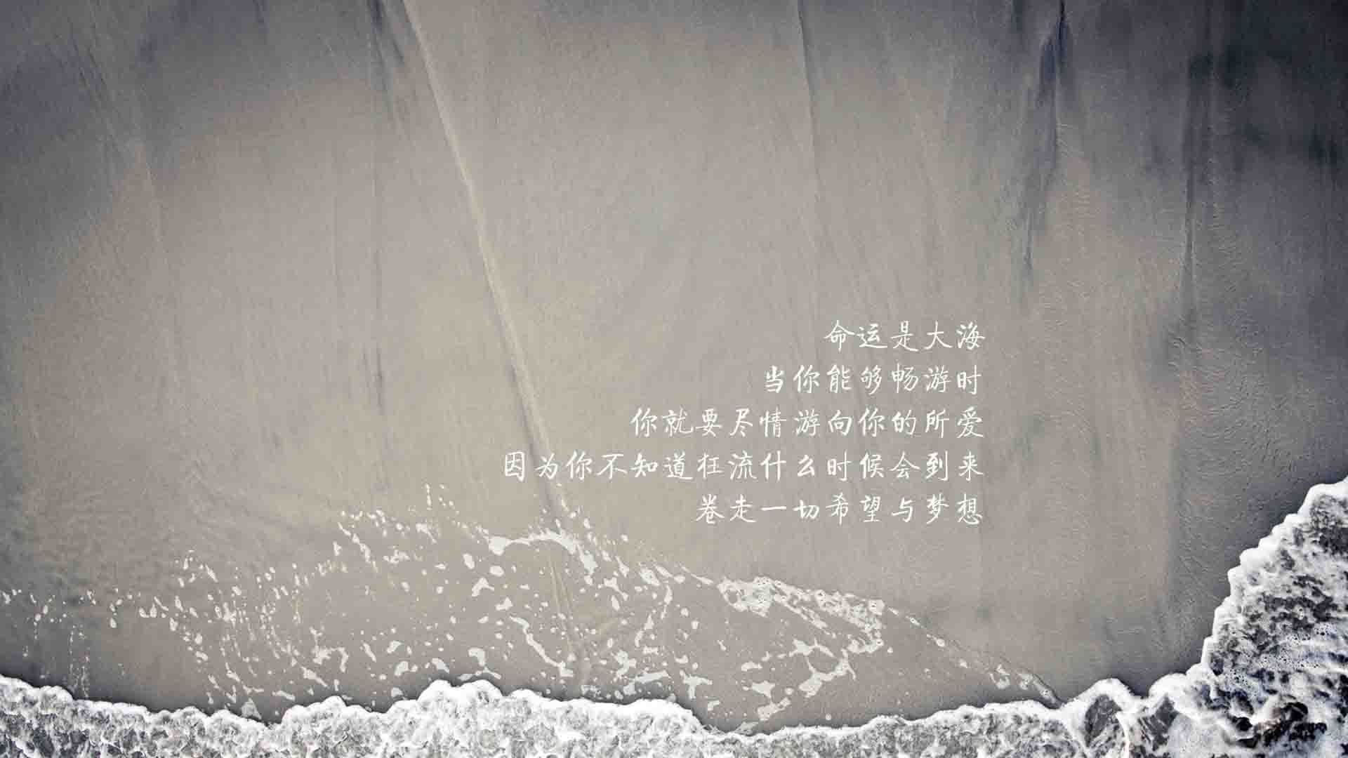 2026世界杯C组震撼战报,喀麦隆碾压日本,莱万多夫斯基独造三球闪耀北美之巅
