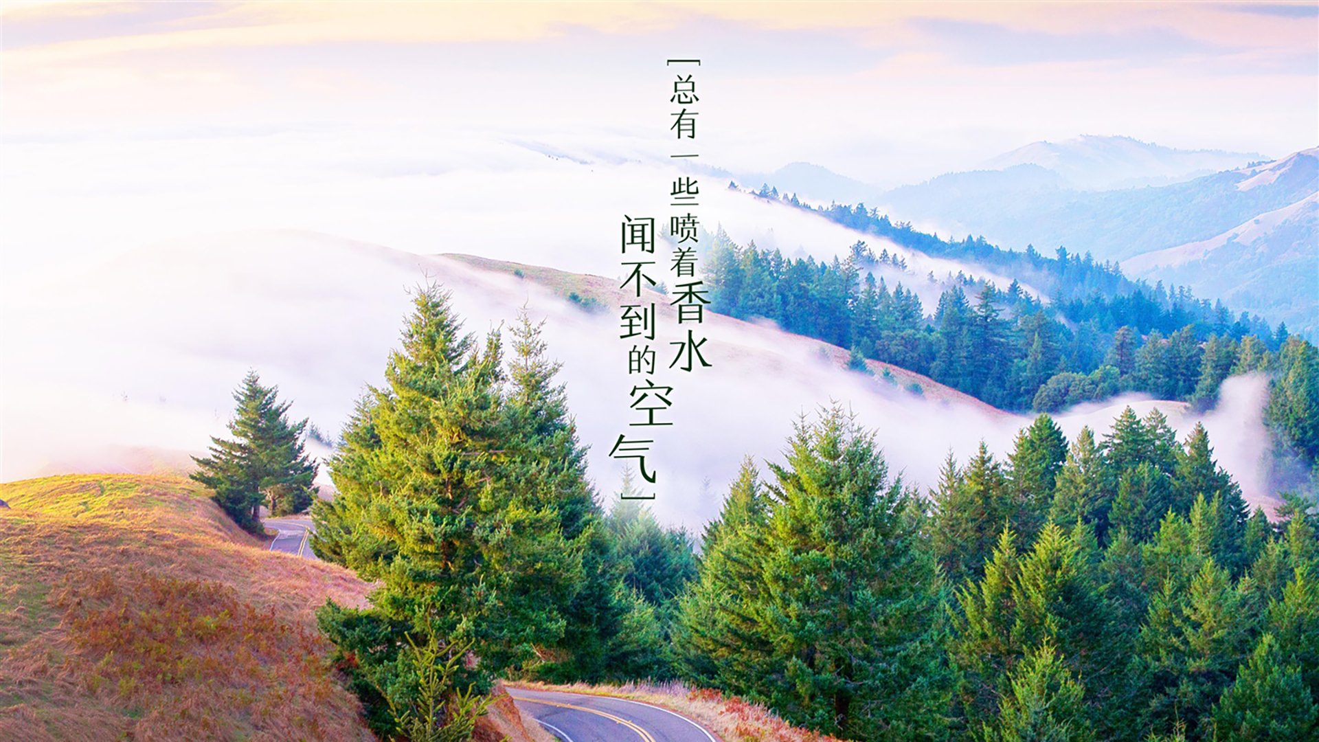 草原雄狮的怒吼，2026世界杯B组焦点战，喀麦隆碾压厄瓜多尔，阿方索·戴维斯一个人的统治时代