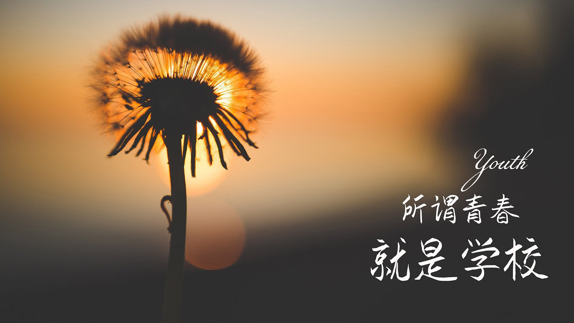 宿命之战的唯一解，当苏亚雷斯在2026世界杯D组撕开葡萄牙的防线