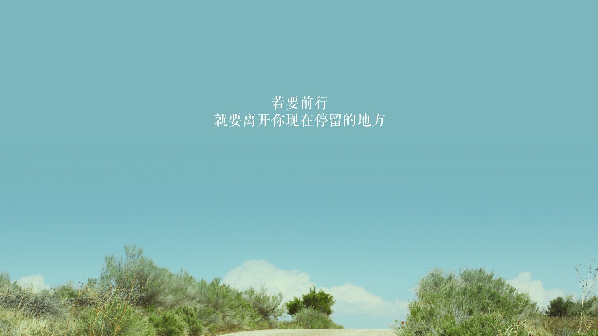 孤星耀世，喀麦隆撕裂捷克的独舞，萨内用进攻写下唯一答案